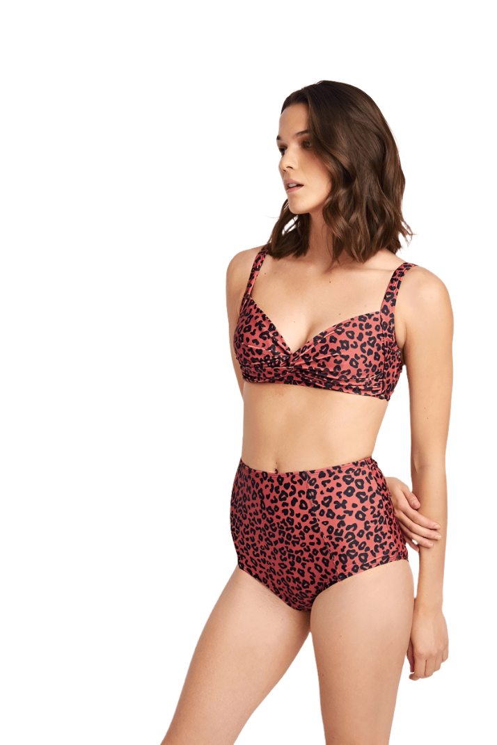 BettyliciousUK Bikini Set Red Leopard Print High Waisted Bikini SET by Marina West Swim